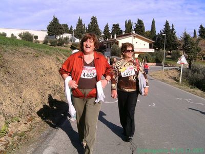 Premi per vedere l'immagine alla massima grandezza