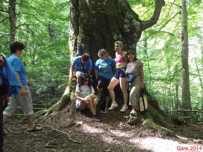 Premi per vedere l'immagine alla massima grandezza