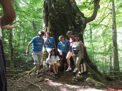 Premi per vedere l'immagine alla massima grandezza