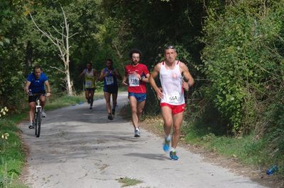 Premi per vedere l'immagine alla massima grandezza