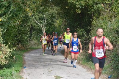 Premi per vedere l'immagine alla massima grandezza