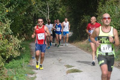 Premi per vedere l'immagine alla massima grandezza