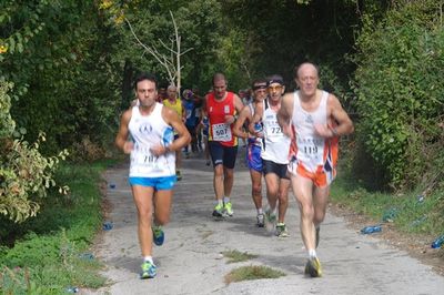 Premi per vedere l'immagine alla massima grandezza