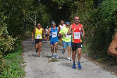 Premi per vedere l'immagine alla massima grandezza