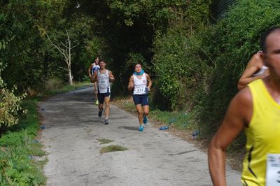 Premi per vedere l'immagine alla massima grandezza