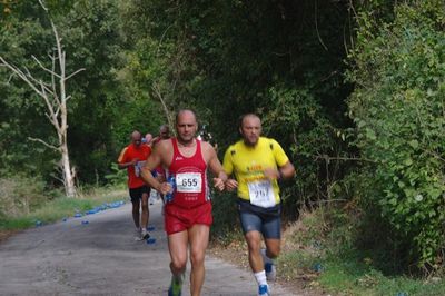 Premi per vedere l'immagine alla massima grandezza