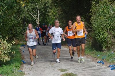 Premi per vedere l'immagine alla massima grandezza
