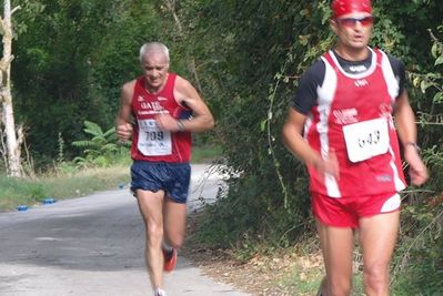 Premi per vedere l'immagine alla massima grandezza