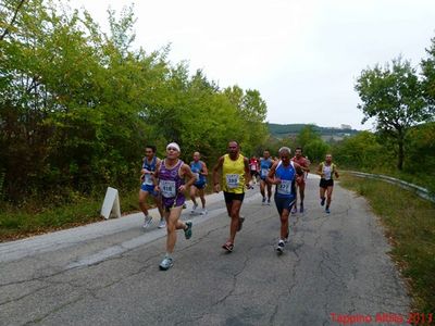 Premi per vedere l'immagine alla massima grandezza