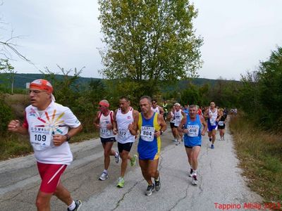 Premi per vedere l'immagine alla massima grandezza