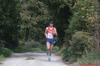 Premi per vedere l'immagine alla massima grandezza