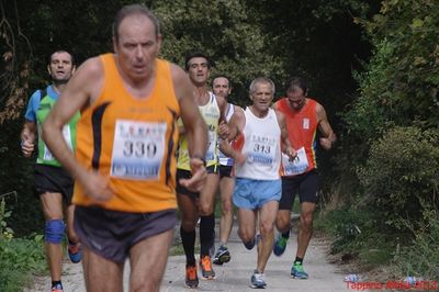 Premi per vedere l'immagine alla massima grandezza