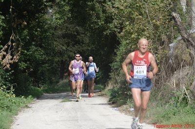 Premi per vedere l'immagine alla massima grandezza