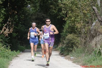 Premi per vedere l'immagine alla massima grandezza