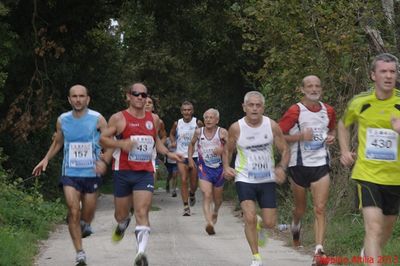 Premi per vedere l'immagine alla massima grandezza