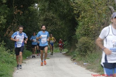 Premi per vedere l'immagine alla massima grandezza