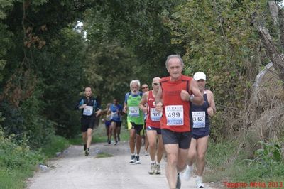 Premi per vedere l'immagine alla massima grandezza