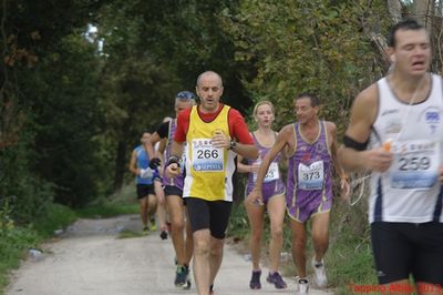 Premi per vedere l'immagine alla massima grandezza