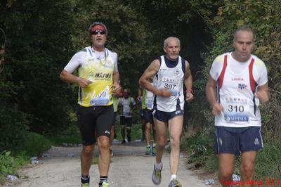 Premi per vedere l'immagine alla massima grandezza