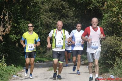 Premi per vedere l'immagine alla massima grandezza