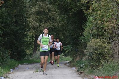 Premi per vedere l'immagine alla massima grandezza