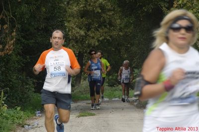 Premi per vedere l'immagine alla massima grandezza