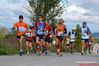 Tappino_Altilia_201410268505_374808692668005_4327257439212103706_n.jpg