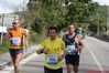 Nome del file=Tappino_Altilia_201410685499_10203847947617808_579089594298515485_n.jpg
Dimensione del file=243KiB
Dimensioni=600x400
Aggiunta il=Ott 14, 2014 Tappino_Altilia_201410685499_10203847947617808_579089594298515485_n.jpg