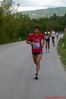Tappino_Altilia_2014P1330047.JPG