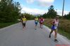 Tappino_Altilia_2014P1330151.JPG