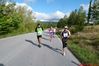 Tappino_Altilia_2014P1330232.JPG