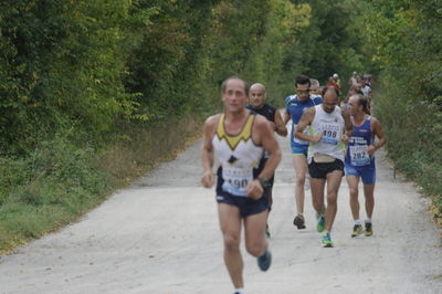 Premi per vedere l'immagine alla massima grandezza