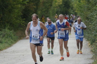 Premi per vedere l'immagine alla massima grandezza