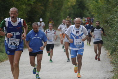 Premi per vedere l'immagine alla massima grandezza