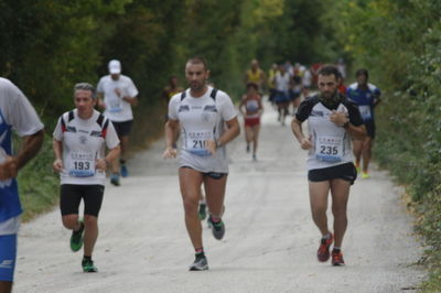 Premi per vedere l'immagine alla massima grandezza