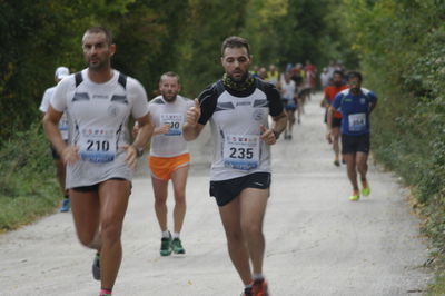 Premi per vedere l'immagine alla massima grandezza