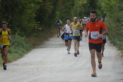 Premi per vedere l'immagine alla massima grandezza