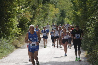 Premi per vedere l'immagine alla massima grandezza