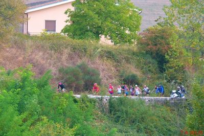 Premi per vedere l'immagine alla massima grandezza