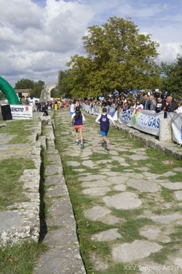 Premi per vedere l'immagine alla massima grandezza