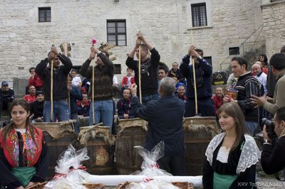 Premi per vedere l'immagine alla massima grandezza