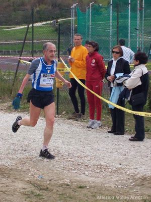 Premi per vedere l'immagine alla massima grandezza