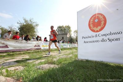 Premi per vedere l'immagine alla massima grandezza