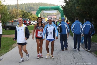 Premi per vedere l'immagine alla massima grandezza