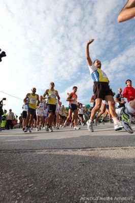 Premi per vedere l'immagine alla massima grandezza