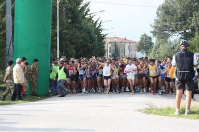 Premi per vedere l'immagine alla massima grandezza