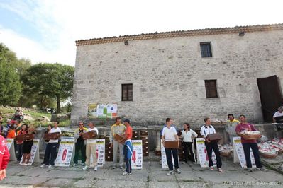 Premi per vedere l'immagine alla massima grandezza