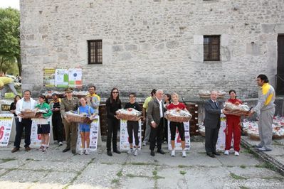 Premi per vedere l'immagine alla massima grandezza