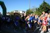 img_1194922018_769_lg.jpg