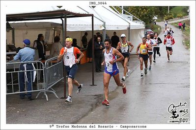 Premi per vedere l'immagine alla massima grandezza